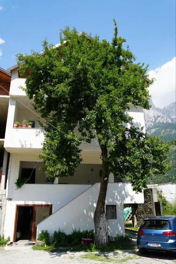 Guesthouse Skender Selimaj Valbona Kültér fotó