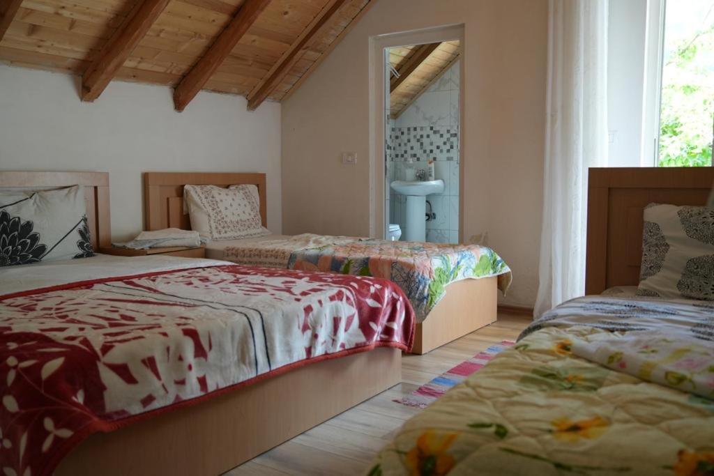 Guesthouse Skender Selimaj Valbona Kültér fotó