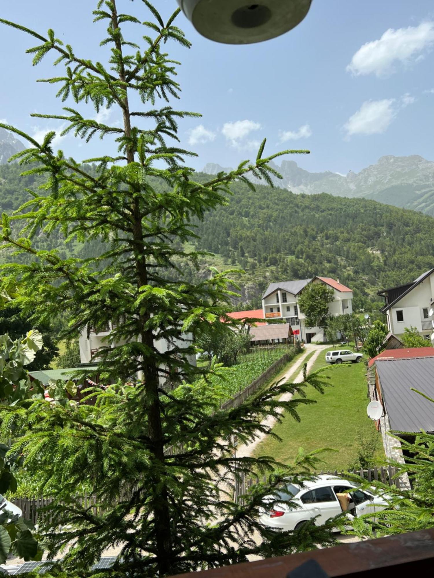 Guesthouse Skender Selimaj Valbona Kültér fotó